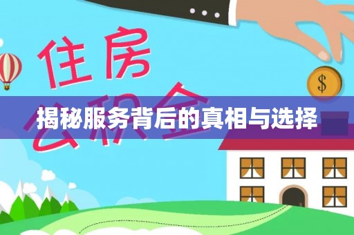东宝揭秘服务背后的真相与选择