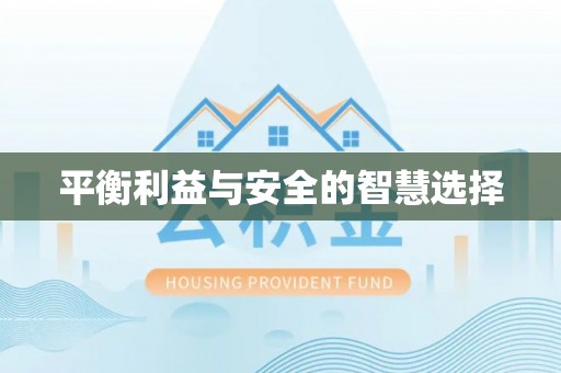 东宝平衡利益与安全的智慧选择