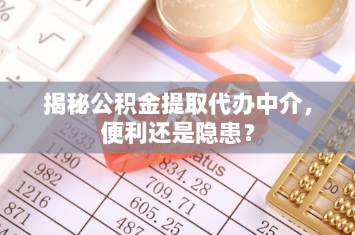 东宝揭秘公积金提取代办中介，便利还是隐患？