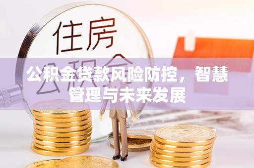 东宝公积金贷款风险防控，智慧管理与未来发展