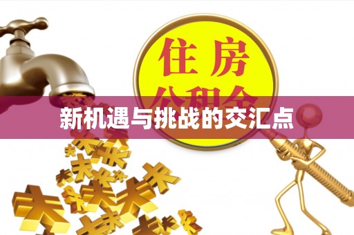 东宝新机遇与挑战的交汇点