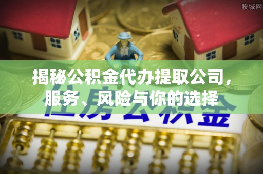 东宝揭秘公积金代办提取公司，服务、风险与你的选择