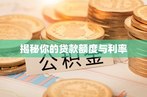 东宝揭秘你的贷款额度与利率