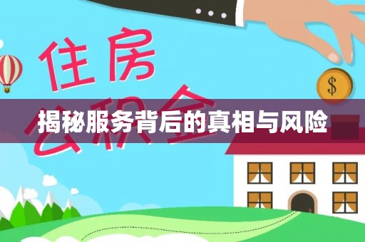 东宝揭秘服务背后的真相与风险