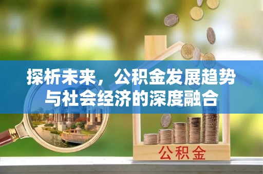 东宝探析未来，公积金发展趋势与社会经济的深度融合