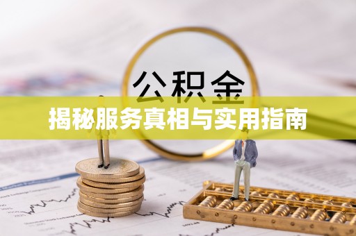 东宝揭秘服务真相与实用指南