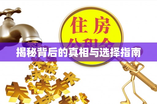 东宝揭秘背后的真相与选择指南