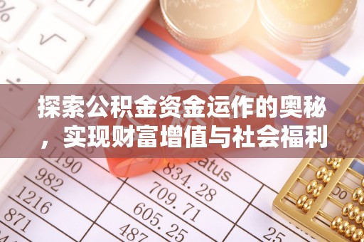 东宝探索公积金资金运作的奥秘，实现财富增值与社会福利双赢