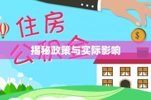 东宝揭秘政策与实际影响