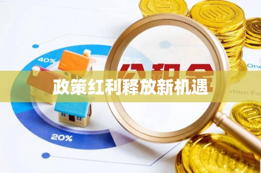 东宝政策红利释放新机遇