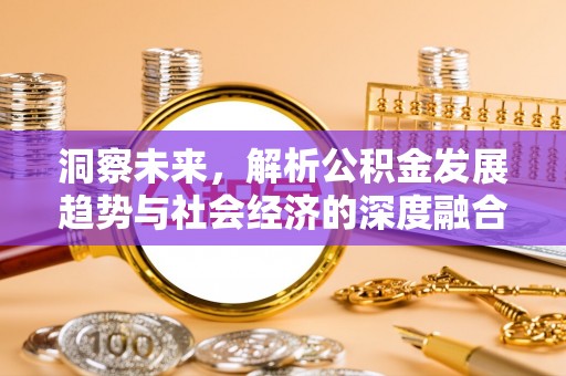 东宝洞察未来，解析公积金发展趋势与社会经济的深度融合
