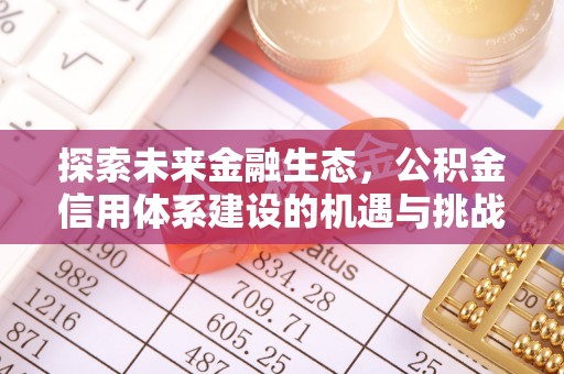 东宝探索未来金融生态，公积金信用体系建设的机遇与挑战