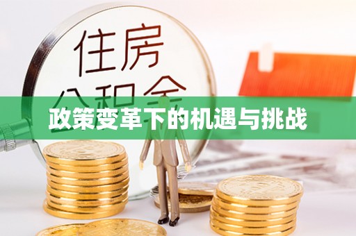 东宝政策变革下的机遇与挑战