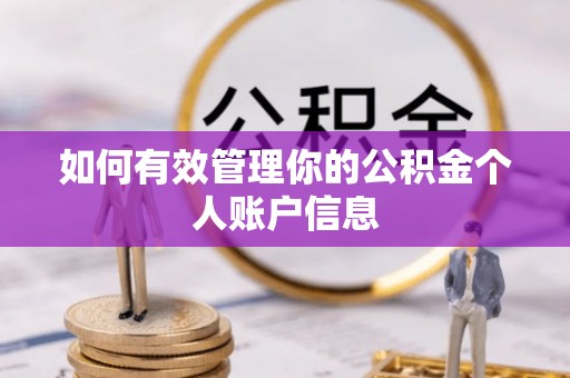 东宝如何有效管理你的公积金个人账户信息