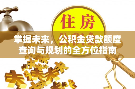东宝掌握未来，公积金贷款额度查询与规划的全方位指南