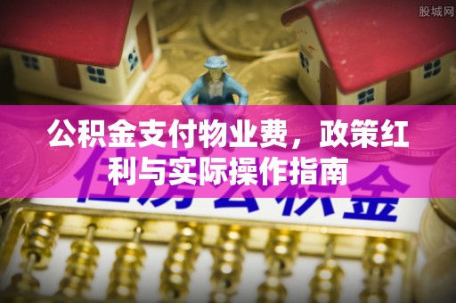 东宝公积金支付物业费，政策红利与实际操作指南