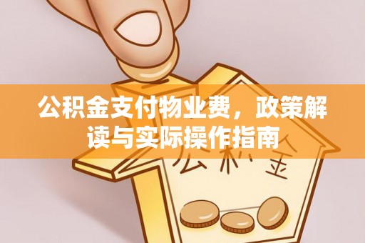 东宝公积金支付物业费，政策解读与实际操作指南