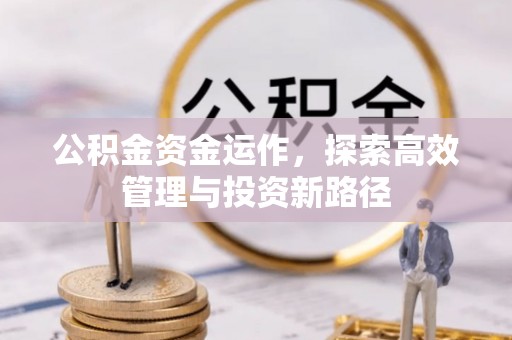东宝公积金资金运作，探索高效管理与投资新路径