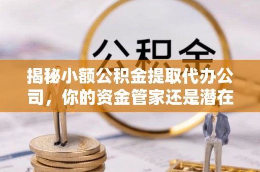 东宝揭秘小额公积金提取代办公司，你的资金管家还是潜在风险？