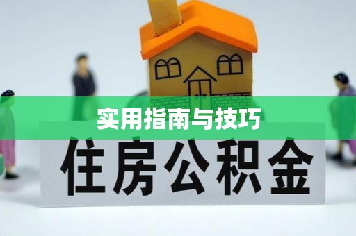 东宝实用指南与技巧