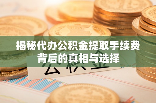 东宝揭秘代办公积金提取手续费背后的真相与选择