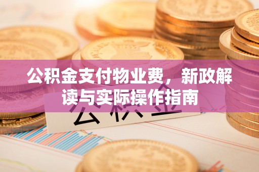 东宝公积金支付物业费，新政解读与实际操作指南