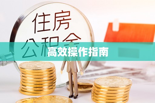 东宝高效操作指南