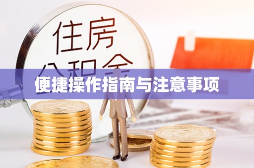 东宝便捷操作指南与注意事项